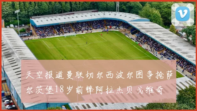 天空报道曼联切尔西波尔图争抢萨尔茨堡18岁前锋阿拉杰贝戈维奇