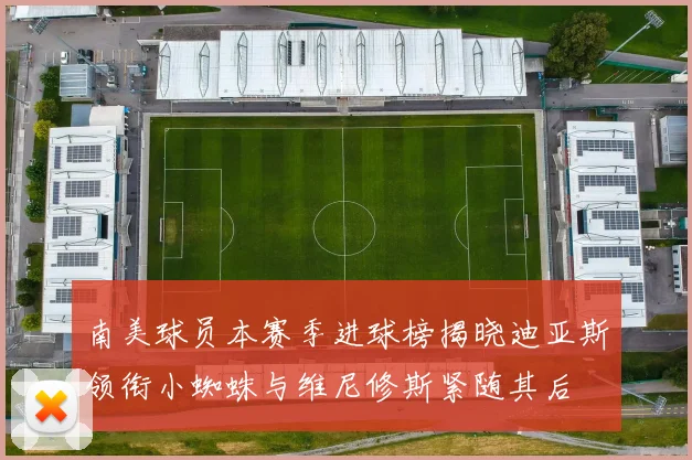 南美球员本赛季进球榜揭晓迪亚斯领衔小蜘蛛与维尼修斯紧随其后