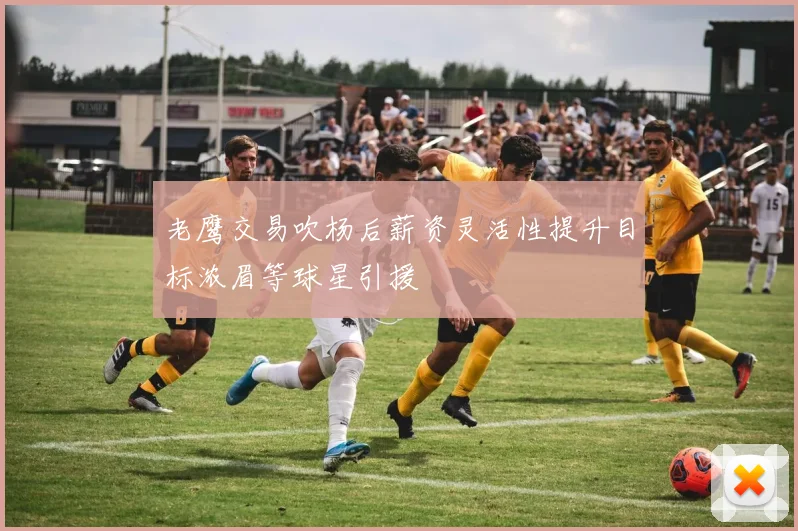 老鹰交易吹杨后薪资灵活性提升目标浓眉等球星引援