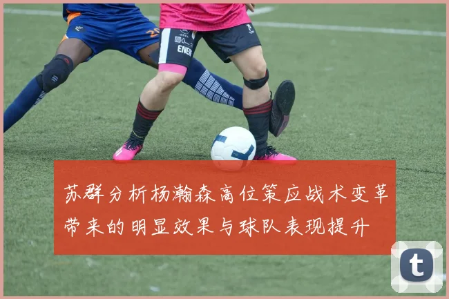 苏群分析杨瀚森高位策应战术变革带来的明显效果与球队表现提升