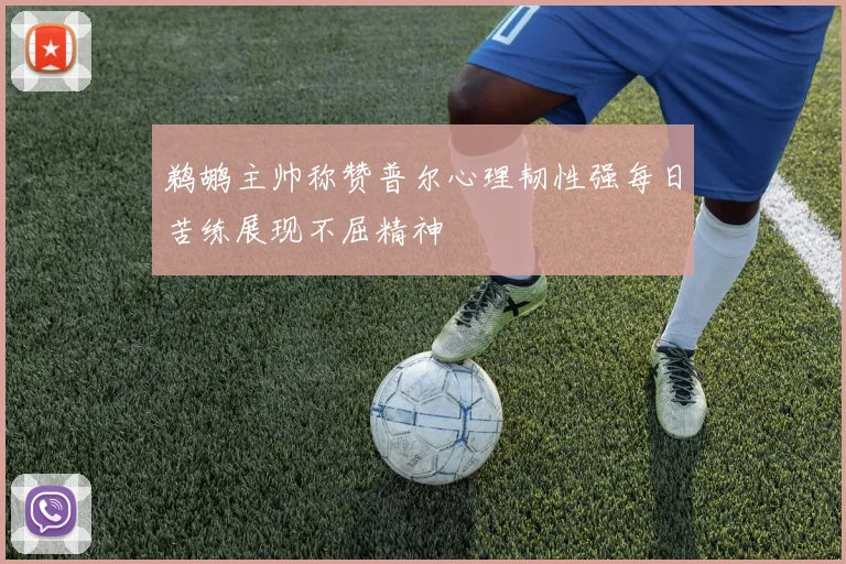 鹈鹕主帅称赞普尔心理韧性强每日苦练展现不屈精神