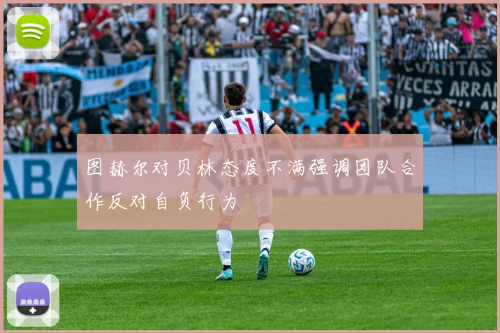图赫尔对贝林态度不满强调团队合作反对自负行为