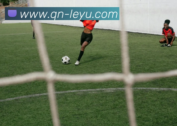 乐鱼体育APP 高清赛事图